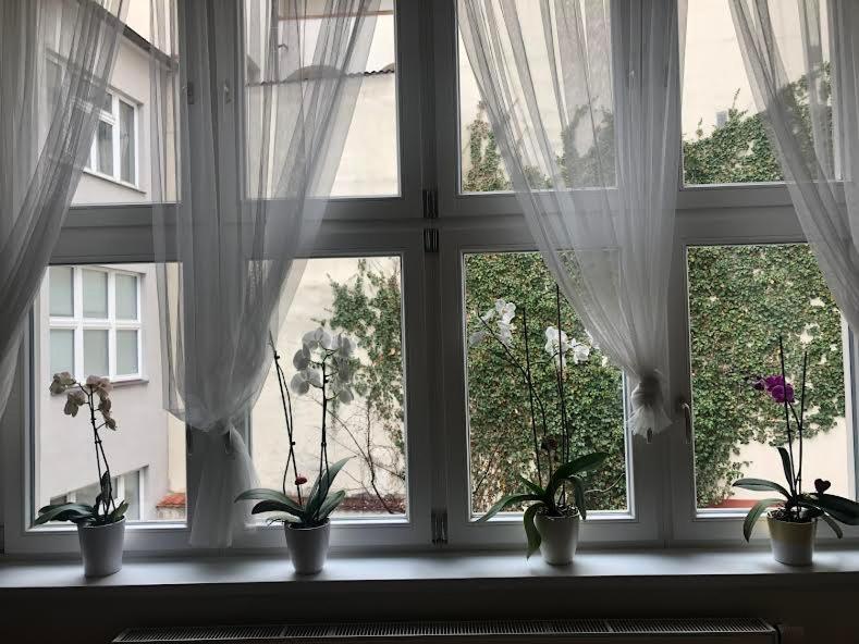 Apartment Cozy In The Centre